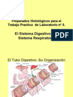 Preparados Histológicos Para El Trabajo Practico de Laboratorio