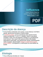 Influenza - Epidemiologia