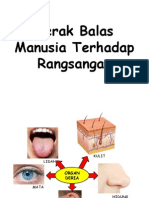 1.2 Rangsangan Dan Gerak Balas Dalam Manusia