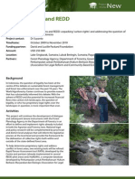 Power relations and REDD project profile