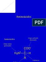 Amino Acid Os