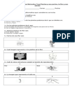 Guía de Prueba Cs. Naturales Plantas Flor y Sus Partes