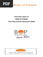 Internship Report On Bank Of Punjab Debits And Credits Banks