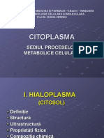 Citoplasma Citoschelet