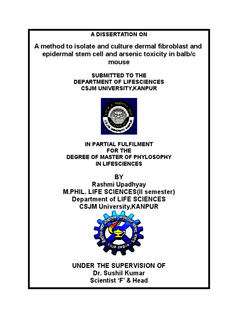 Phd dissertation picture