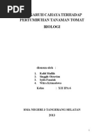 Download Laporan Tanaman Tomat by Singgih Oktavian SN265419443 doc pdf