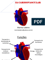 Aula Fisiologia - Cardio