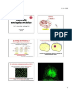 Retículo Endoplasmático - Farmácia N