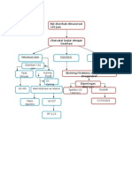 Skema Isolation