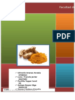 Extracción de Aceite Escencial A Partir de La Curcuma