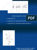 Entorsele de Genunchi