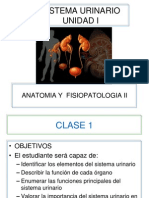 Clase 1 - Anatomia Sistema Urinario