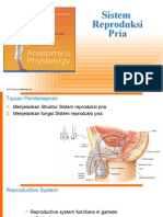 Anatomi Fisiologi Repro Pria Farmasi FX 2014