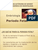 2 3periodofetal