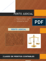 Perito contable judicial: funciones y requisitos