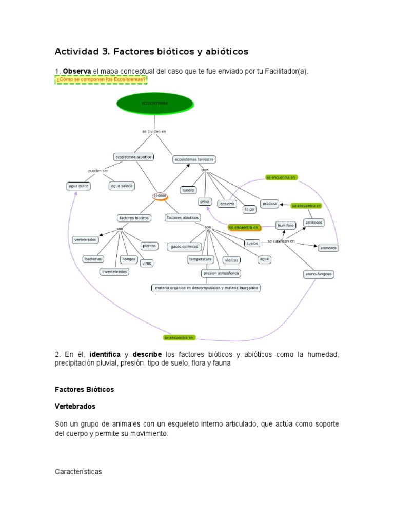 Actividad 3 Mapa Conceptual Las bacterias Hongo