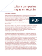 La Agricultura Campesina de Los Mayas en Yucatán