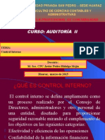 Auditoria Control Interno