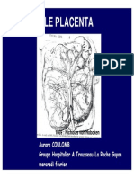 Cours DES Placenta embryo