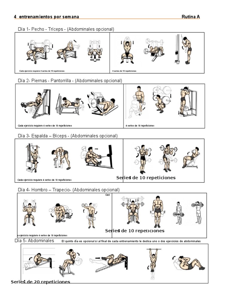 Rutinas para Gym | PDF | Ejercicio físico | Hombro