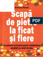 SPFF PDF