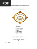 Download laporan praktikum kacang hijau dan kacang merah by Conan Ajja SN265508288 doc pdf