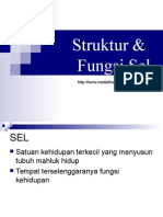 sel (2).ppt