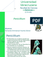 Penicillium 140430213808 Phpapp01