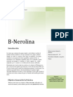 Informe B - Nerolina PDF