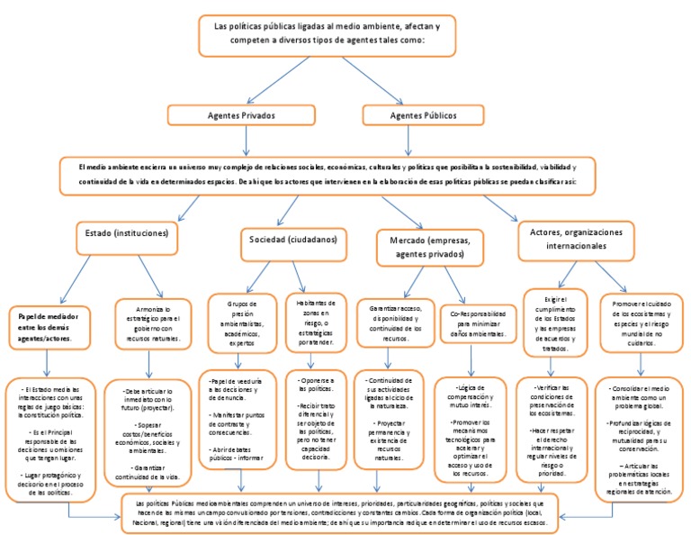 Mapa Conceptual Politicas Públicas | PDF | Entorno natural | Toma de ...