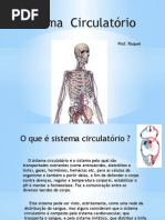 Apresentacão Sistema Circulatorio