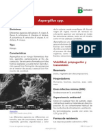 Ficha Aspergillus SPP