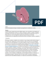 Crean marcapasos biológico mediante reprogramación somática en cerdos