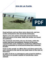 Contaminacion en La Playa Atahualpa