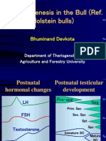Spermatogenesis in The Bull (Ref. Holstein Bulls) : Bhuminand Devkota