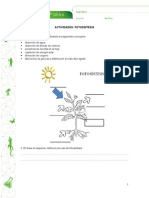 Prueba de Ciencias