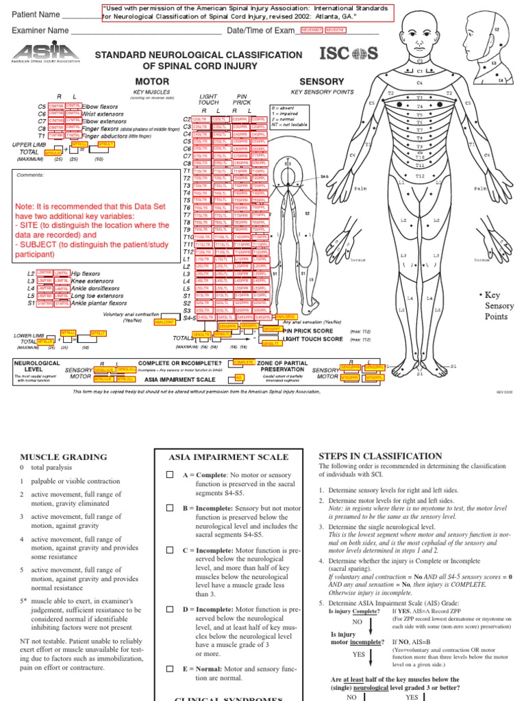 ASIA Classification of Spinal Injury | PDF | Muscle Contraction ...