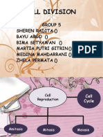 Cell Division