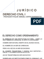 Dºcivil i Acto Juridico