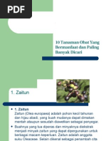Contoh Tan Obat