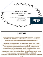 pengelolaan-agroekosistem-SAWAH