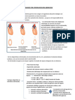 Fisiología Del Ejercicio