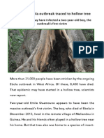 Ongoing Ebola Outbreak Traced to Hollow Tree Housing Insect-Eating Bats