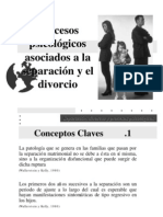 Procesos Psicológicos Asociados A La Separación y