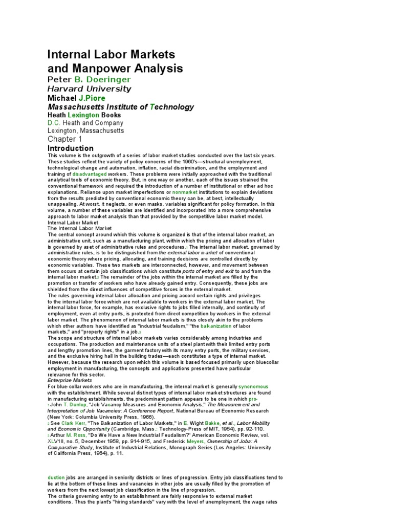 Internal Labor Markets PDF Labour Economics Market (Economics)