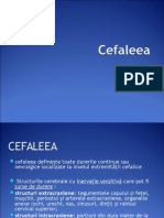 Cefaleea Neurologie Curs