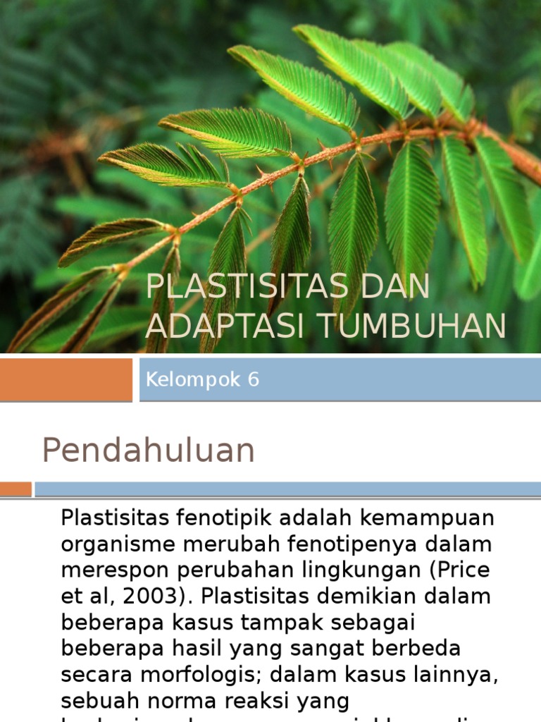 Contoh Laporan Hasil Observasi Tentang Tumbuhan Kaktus - Kumpulan