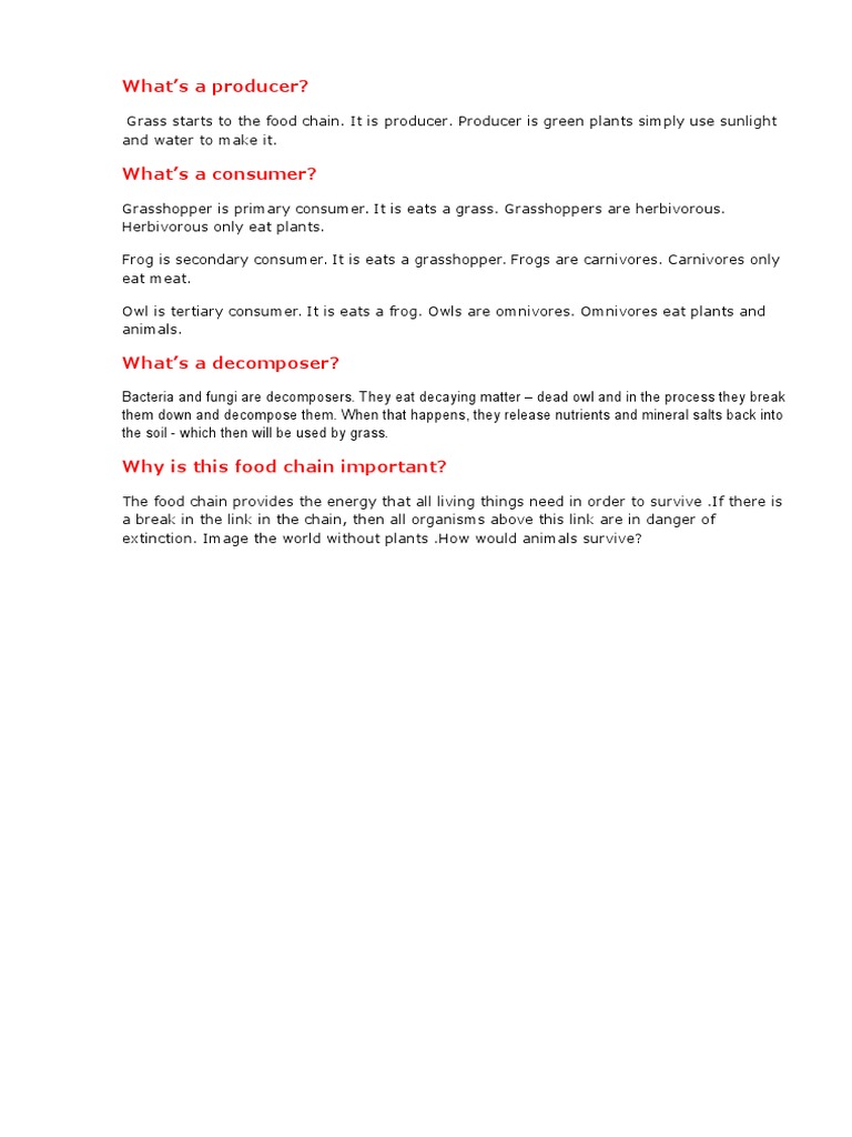 Understanding Producers, Consumers, and Decomposers | PDF | Home ...