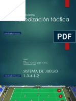 Morfociclo Patron-Periodizacion Tactica