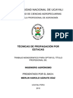 tesis estacas.pdf